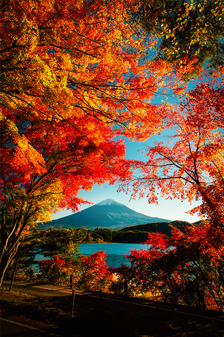 couleurs de l'automne