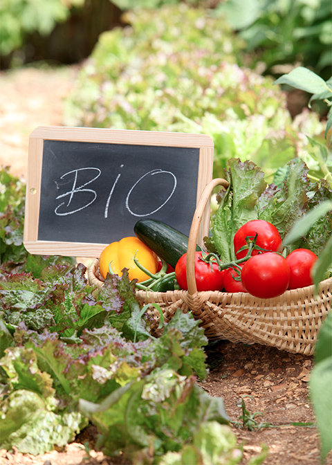 Aliments bio