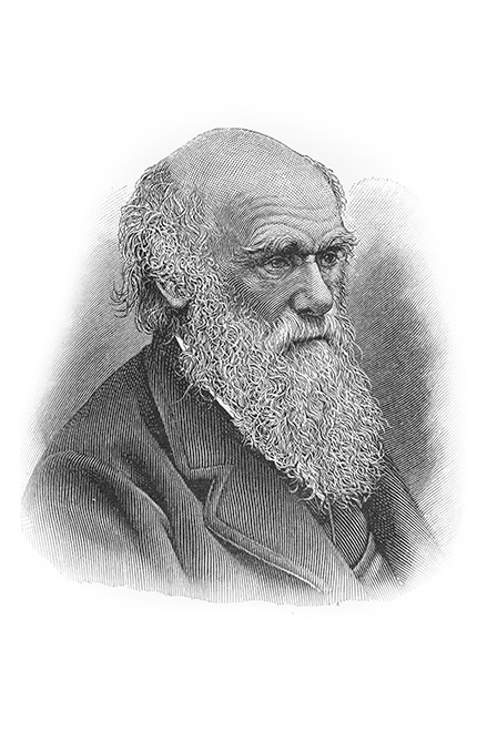 harles Darwin