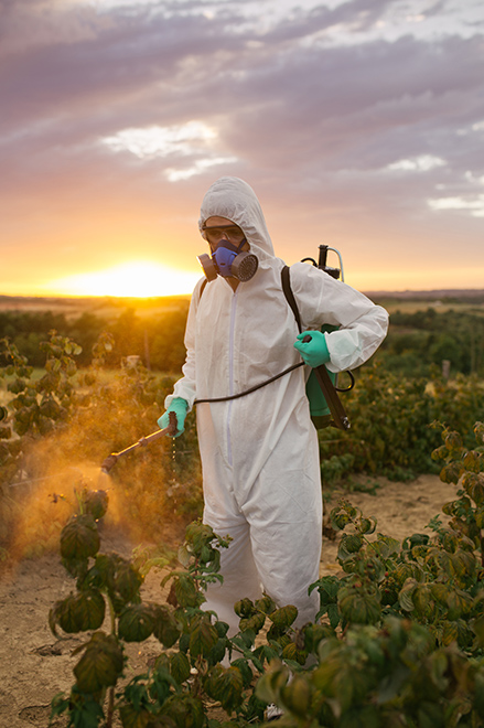 Histoire des poisons