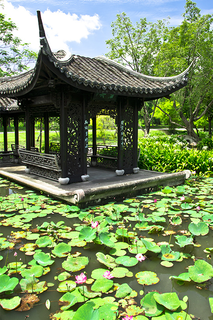 Jardins chinois 