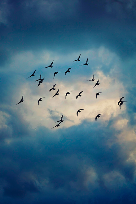 Les grandes migrations