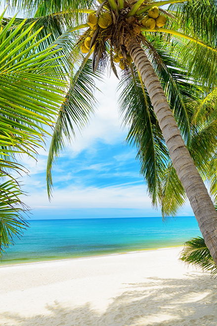 Sable de plages