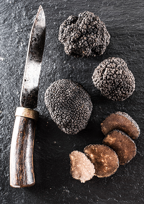 Truffes noires