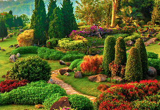 Histoire des jardins